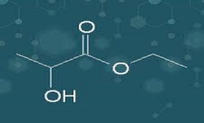 Ethyl Lactate Market Size, In-depth Analysis Report and Global Forecast to 2028 img