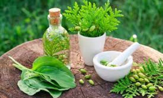 Herbal Supplement And Remedies Market | Global Industry Trends, Segmentation, Business Opportunities & Forecast To 2027 img