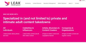 Permanent removal of defamatory and negative links img