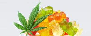 weed edibles